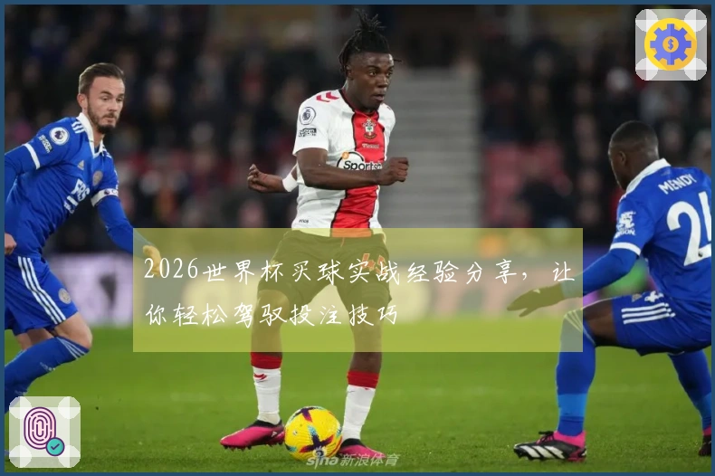 2026世界杯买球实战经验分享，让你轻松驾驭投注技巧
