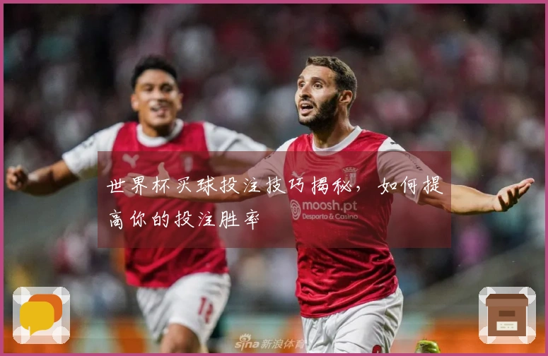 世界杯买球投注技巧揭秘，如何提高你的投注胜率