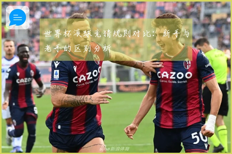 世界杯滚球竞猜规则对比：新手与老手的区别分析