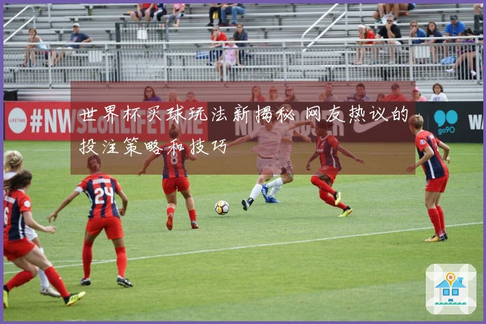 世界杯买球玩法新揭秘 网友热议的投注策略和技巧