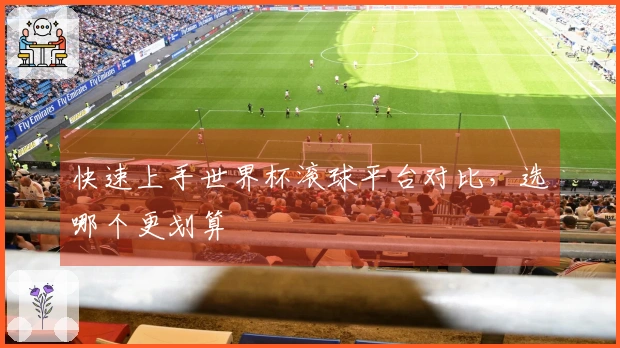 快速上手世界杯滚球平台对比，选哪个更划算