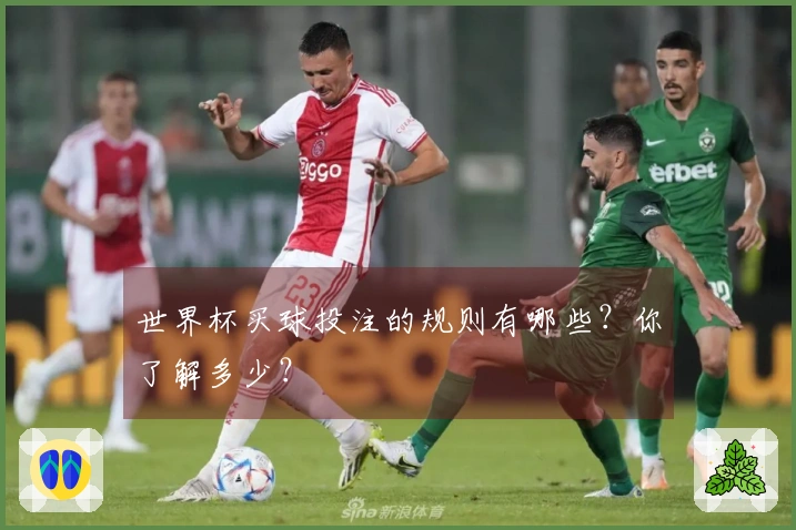 世界杯买球投注的规则有哪些？你了解多少？