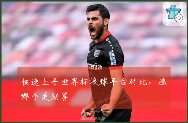 快速上手世界杯滚球平台对比，选哪个更划算