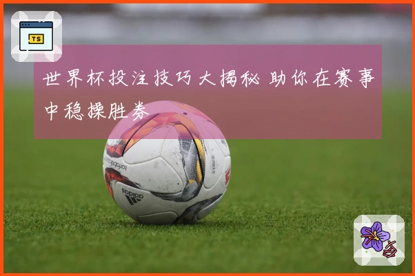 世界杯投注技巧大揭秘 助你在赛事中稳操胜券