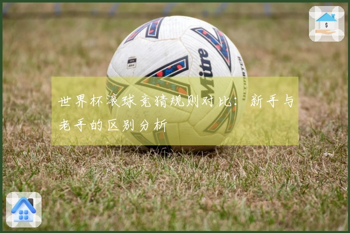 世界杯滚球竞猜规则对比：新手与老手的区别分析