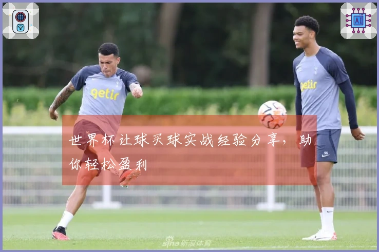 世界杯让球买球实战经验分享，助你轻松盈利