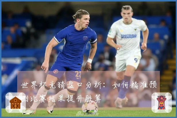 世界杯竞猜盘口分析：如何精准预测比赛结果提升胜算