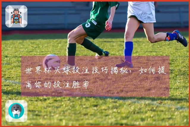 世界杯买球投注技巧揭秘，如何提高你的投注胜率